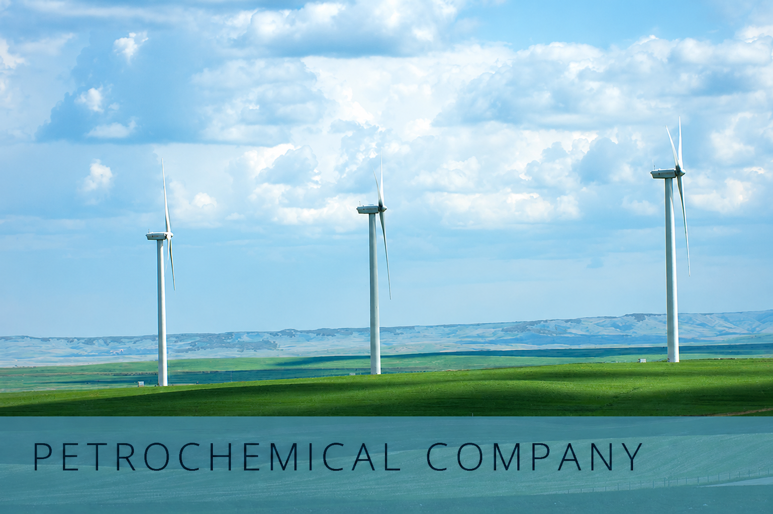 PETROCHEMICAL COMPANY