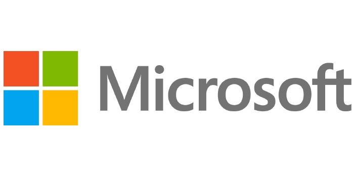 Microsoft Icon