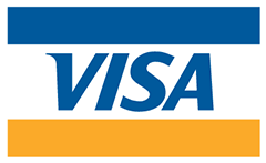 Visa Card Logo